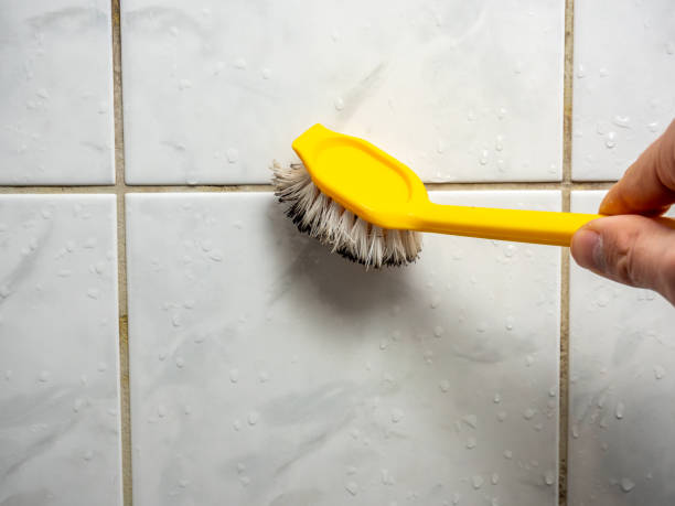 Best Black Mold Remediation in Richnd, MO