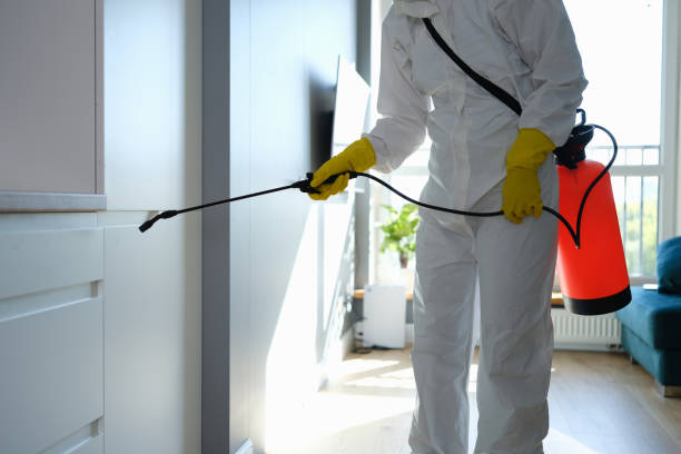 Best Commercial Mold Remediation in Richnd, MO