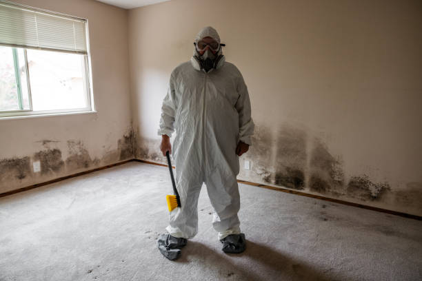 Best Post-Flood Mold Remediation in Richnd, MO